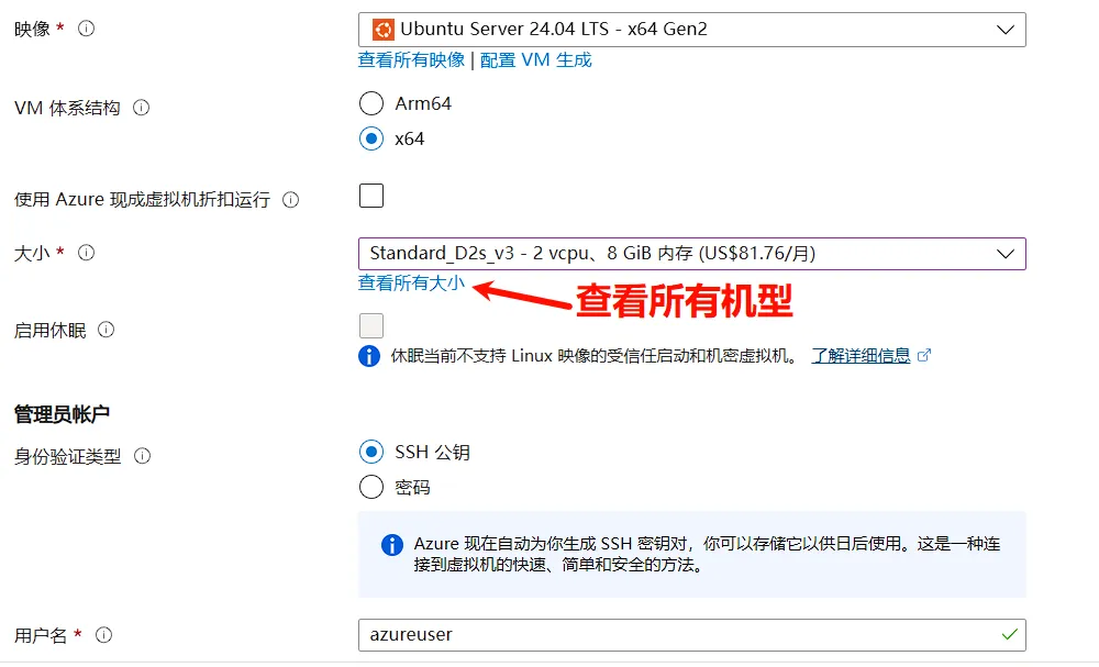虚拟机大小选择界面