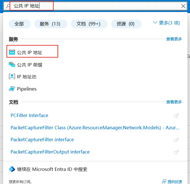 公共 IP 地址服务入口